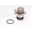 Pompe à eau THERMOTEC D1W050TT