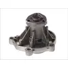 Pompe à eau THERMOTEC D1W046TT