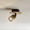 TK Lighting Spot de plafond Top Wood, à 1 lampe, bois/noir