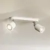 TK Lighting Spot pour plafond Top, à 2 lampes, blanc