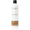 Vianek Nourishing shampoing usage quotidien effet nourrissant 300 ml