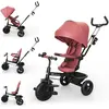 Kinderkraft Tricycle ASTON 2 PLUS rose