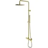 Omnires Y1244SUBSB Y Système de Douche thermostatique en saillie, Brass