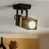 Milagro Eko-Light Spot pour plafond Vidar, noir, à une lampe