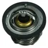 Maxgear Thermostat d'eau 670101