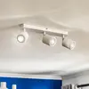 Luminex Spot pour plafond Modo en inox, blanc, 3 lampes
