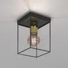 Luminex Plafonnier Anna avec cadre métallique, à 1 lampe
