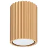 Plafonnier Karbon aluminium 1xGU10 6.5cm Sollux