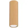Plafonnier Karbon aluminium 1xGU10 6.5cm Sollux