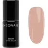 NEONAIL UV Gel Polish Color vernis à ongles gel lampe UV/LED teinte Co...