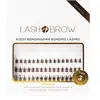 Lash Brow Bonding Eyelashes faux-cils en touffe à coller Iconic Browni...