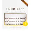 Lash Brow Bonding Eyelashes faux-cils en touffe à coller Foxy Brownie ...
