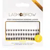 Lash Brow Bonding Eyelashes faux-cils en touffe à coller Basic Brownie...