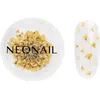 NEONAIL Dried Flowers fleur séchée ongles teinte 07 Yellow 1 pcs