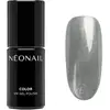 NEONAIL Winter Symphony vernis à ongles gel lampe UV/LED teinte Silver...
