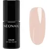 NEONAIL Unwritten Canvas vernis à ongles gel lampe UV/LED teinte Canva...
