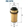 FILTRON PE975 Injecteur de Carburant