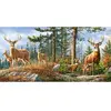 Castorland Puzzle 4000 pièces - Famille Royale des Cerfs