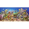 Castorland Jigsaw Underwater Life - Underwater Life 4000 pièces