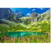 Puzzle - CASTORLAND - Zelene Pleso - 1000 pièces - Paysage et nature - Pour adultes