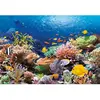 Poissons de corail, puzzle 1000 pièces  - Castorland Puzzle  - C-101511-2 