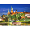 Puzzle 1000 Pièces : Pologne, Cracovie : Château Wawel la Nuit, Castorland