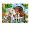 Puzzle Meilleurs amis  - Castorland Puzzle enfant  - B-111121 