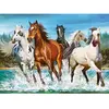 Appel de la nature, puzzle 200 teiles  - Castorland Puzzle  - 4438222056 