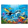 Monde sous-marin tropical, Puzzle 200 couleurs  - Castorland Puzzle  - 4438222094 