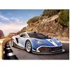 Arrinera Hussarya GT, Puzzle 300 pièces  - Castorland Puzzle  - 4438030316 