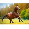 Autum wind, puzzle 180 parties  - Castorland Puzzle  - B-018314 