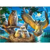 Owl Family, Puzzle 180teile - Castorland