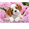 Castorland pièces de puzzle Pup en fleurs roses 180