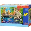Puzzle 120 piÃ¨ces : Ãtang Ã  carpes koÃ¯