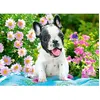 Castorland Puzzle 70 pièces : Chiot Bouledogue Français