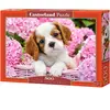 Chiot en fleurs roses Puzzle 500 pièces  - Castorland Puzzle  - B-52233 