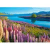 Lac Tekapo, Nouvelle-Zélande 500 Pièces  Castorland