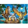 Puzzle 500 pièces - Castorland - Une famille de chouettes - Animaux - Mixte - Coloris Unique