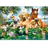 Copains d'été, Puzzle 500 pièces  - Castorland Puzzle  - 4438053230 