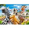 Selfie Africain 500 Pièces  Castorland