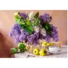 Castorland Nature Morte Lilas