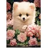 Castorland Puzzle 60 pièces : Chiot de Poméranie dans les roses