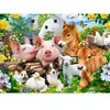 Puzzle - CASTORLAND - Amis de la Ferme - 60 pièces - 32x23 cm - Pour enfants à partir de 5 ans