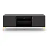 CALICOSY Meuble TV 2 portes et 2 niches noir avec pieds et poignées dorés L140 cm - 140 cm X 40 cm X 50 cm - FLINN