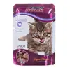 Super Benek Super Chunks Kitten 24 x 100 g - agneau en sauce