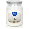 BISPOL Premium Line White Flowers bougie parfumée 500 g