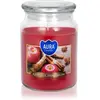 BISPOL Premium Line Apple - Cinnamon bougie parfumée 500 ml
