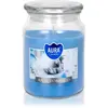BISPOL Premium Line Anti Tabacco bougie parfumée 500 g