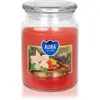 BISPOL Vanilla & Amber bougie parfumée 500 ml