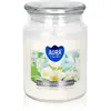BISPOL Premium Line Jasmine bougie parfumée 500 g